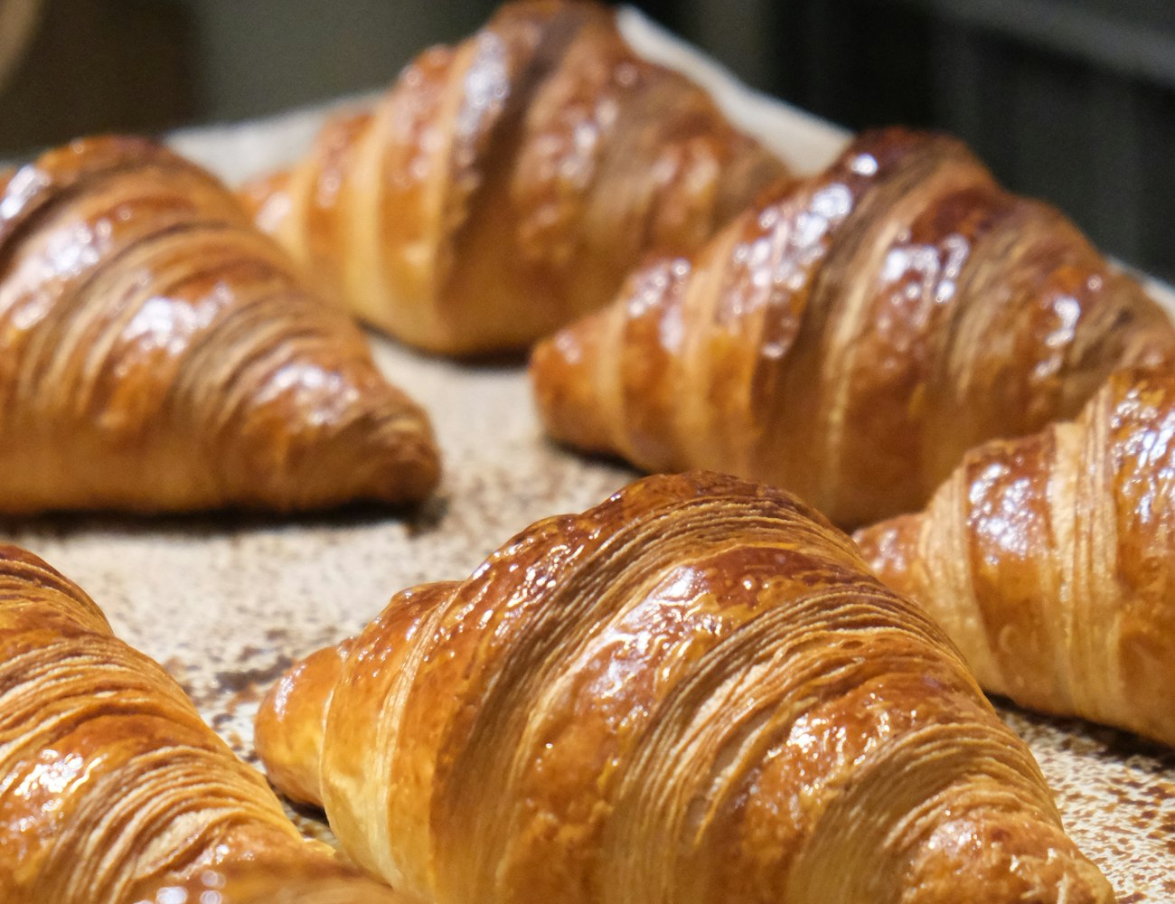 Fresh croissants lined up on a baking tray